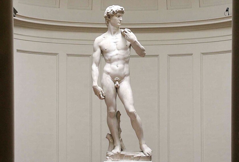 david