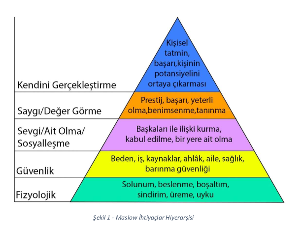 Kendini Gerçekleştiren Bireylerin Ortak 16 Özelliği: Kaçı sende var? - Resim : 1